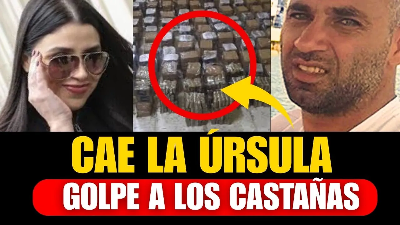 Corbi captura a La Úrsula, narco ligada a Los Castañas que traficaba hachís y coca