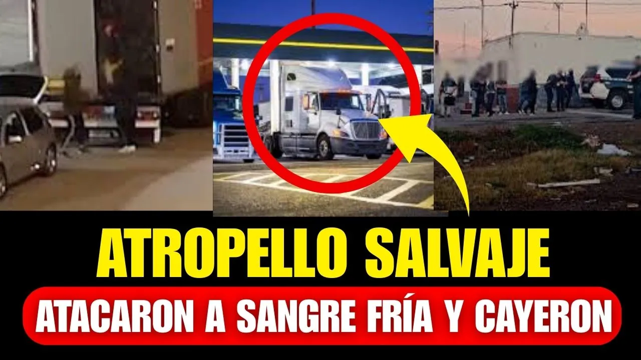 Guardia Civil Detiene Clan Violento tras Agredir Camionero