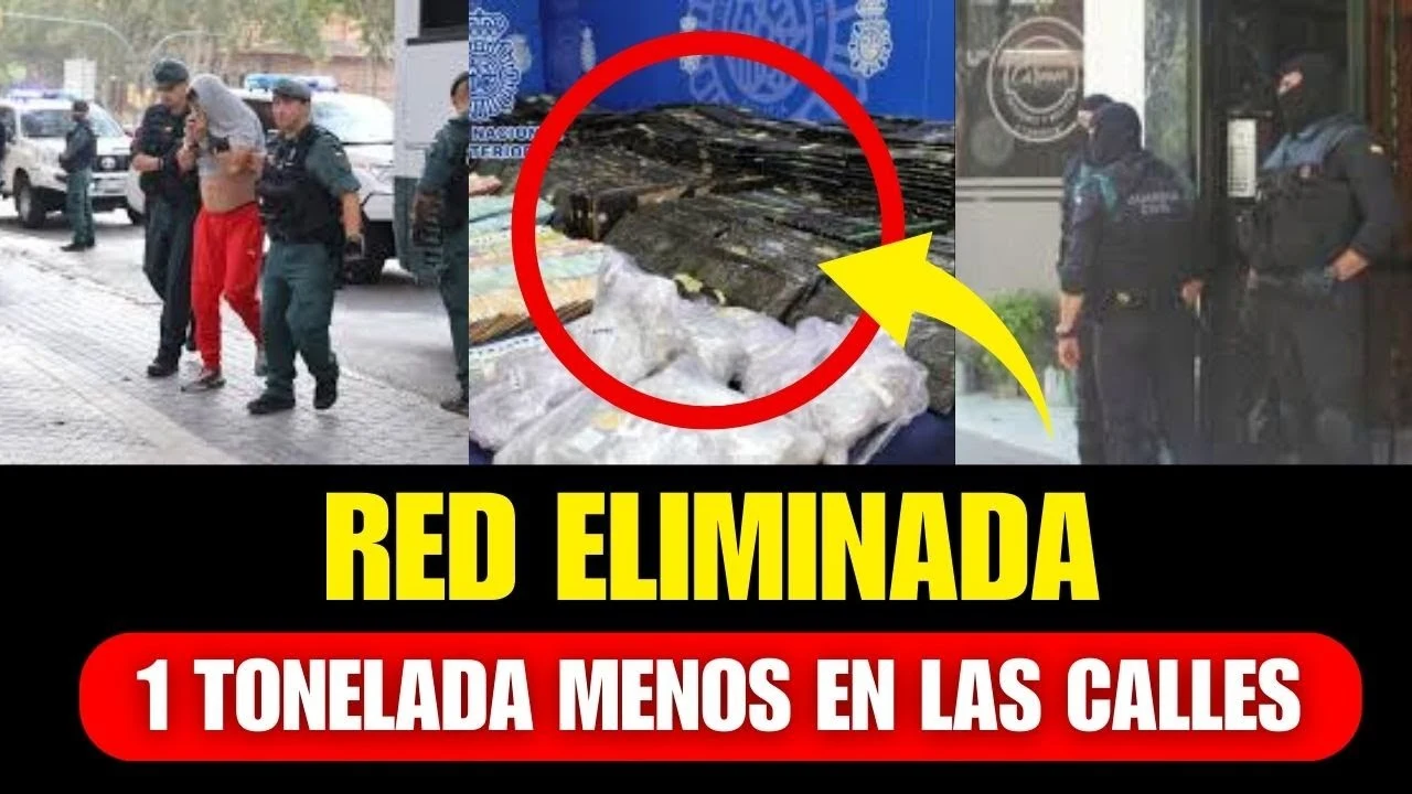 Guardia Civil desmantela la mayor red de cocaína en Valencia: Operación Levante