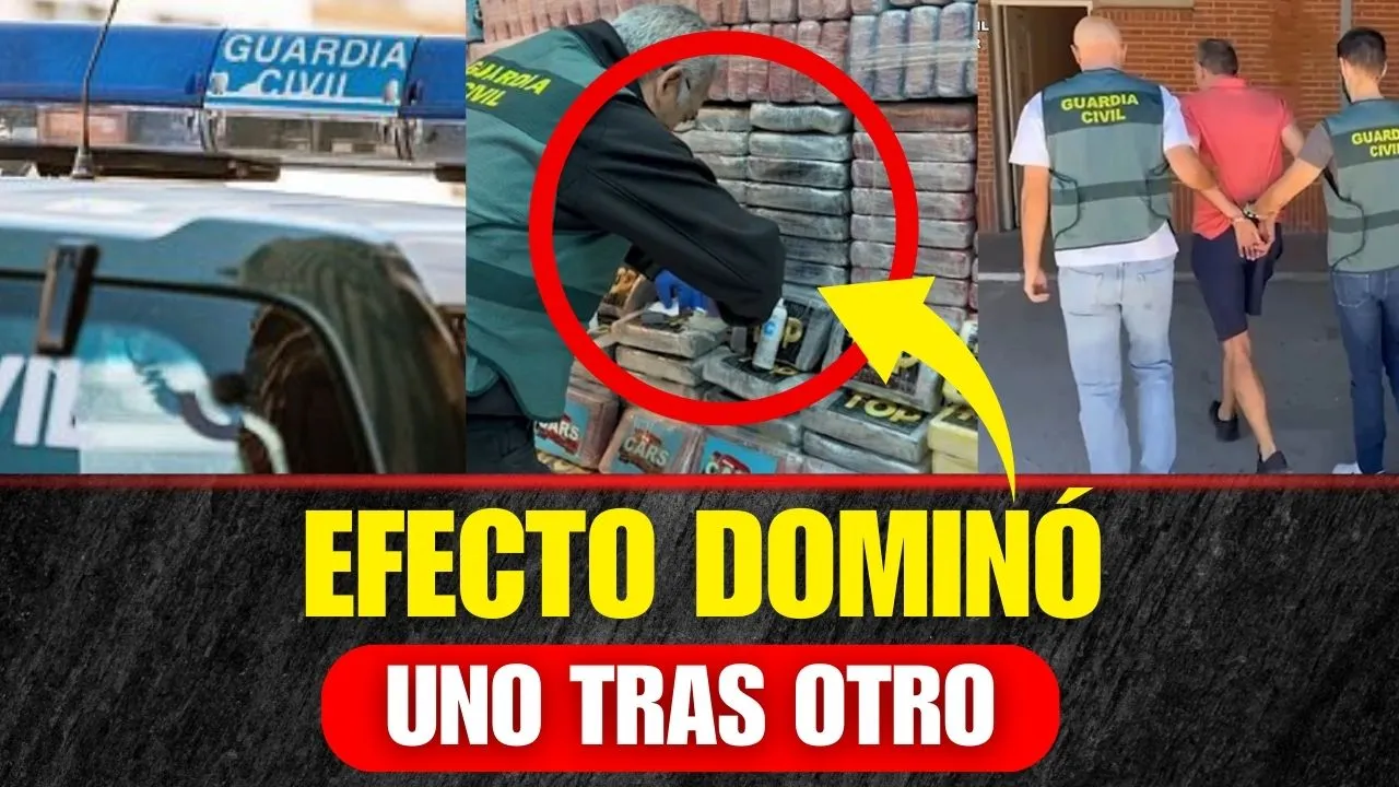 Cómo Cayó la Cúpula del Tráfico de Cocaína | Operación Albatros