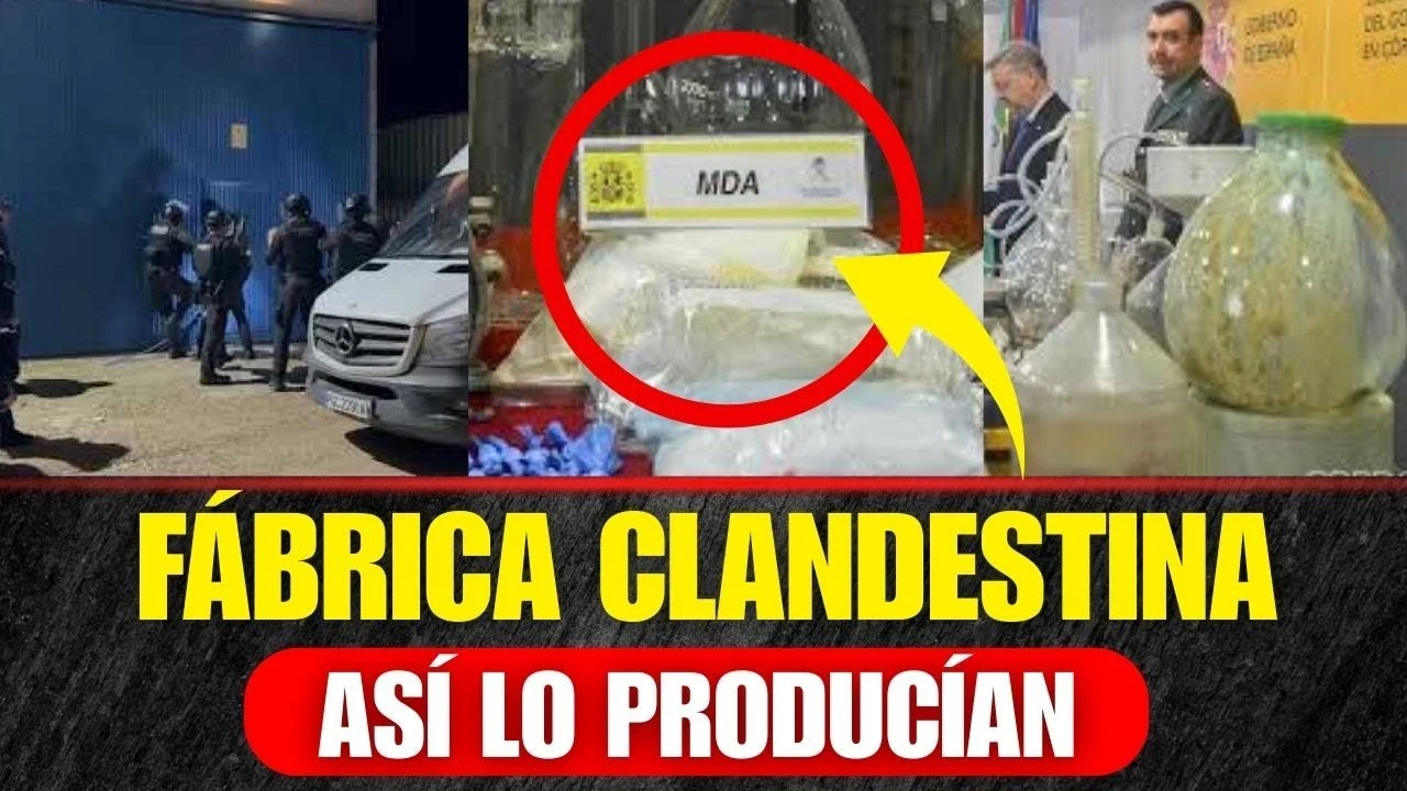 La Guardia Civil desmantela un laboratorio de cocaína y una red de narcotráfico camuflada entre aceitunas en Córdoba